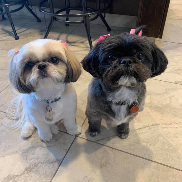 Meet your Posher, Rosalee - Picture 1 of 1